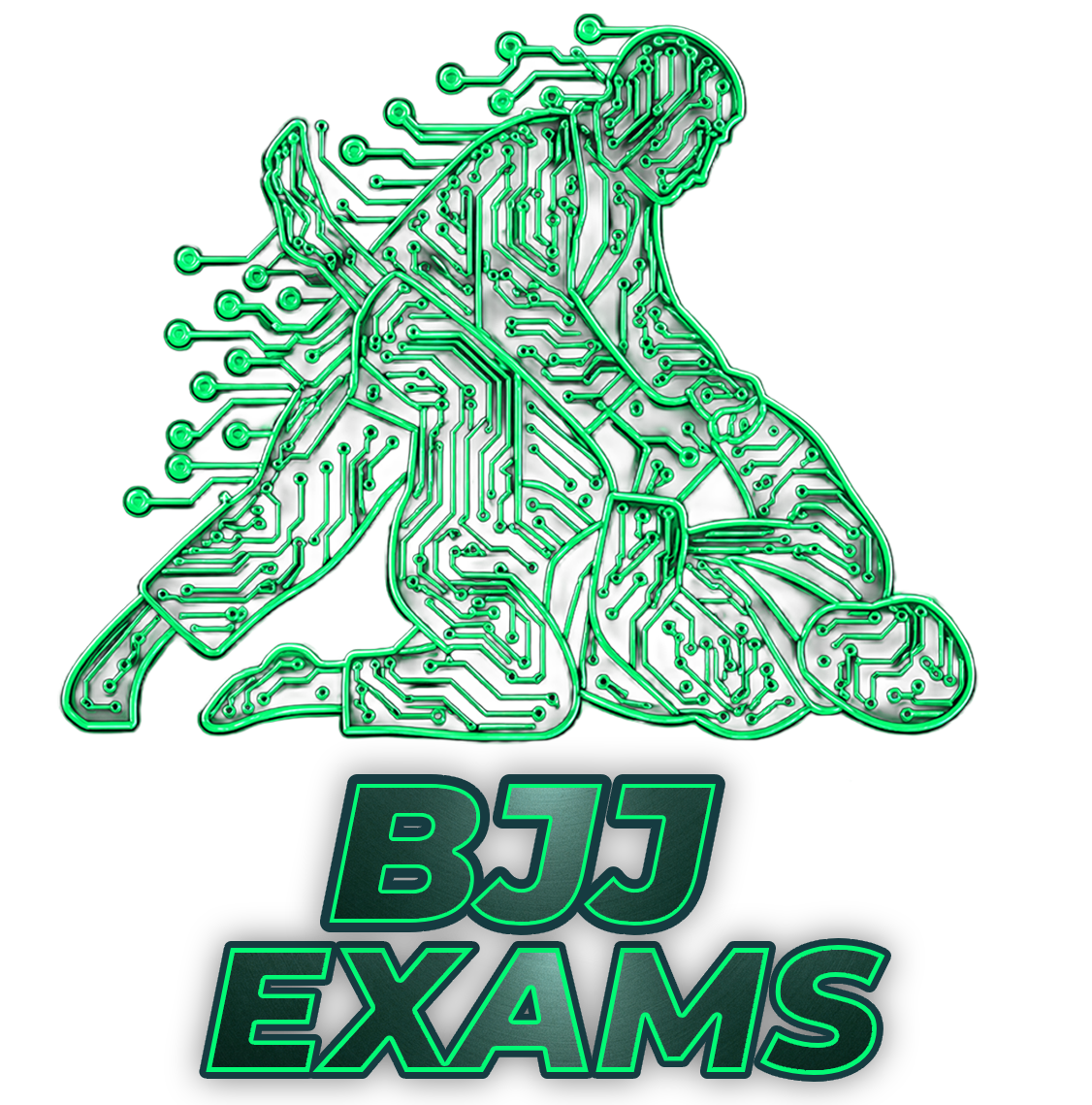 BJJ Exams