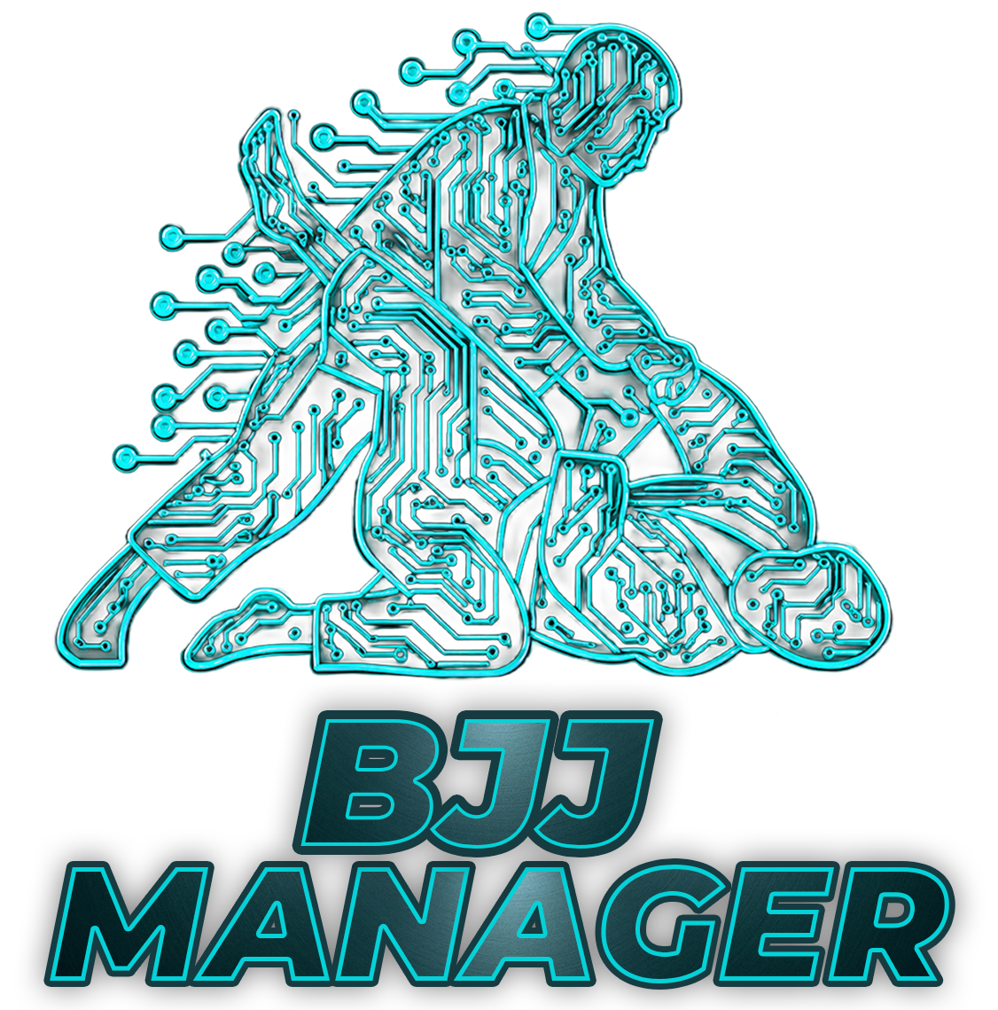 BJJ Manager